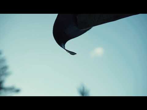 Tell them - Sony A7III