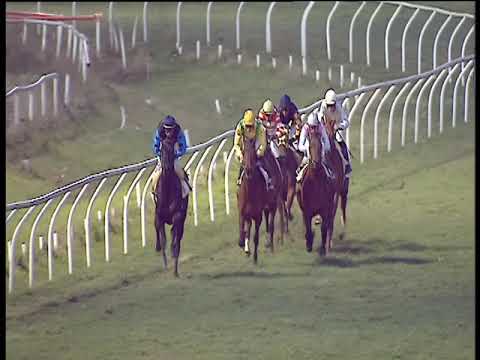 Galoppo 05/02/2019 - 4ª corsa