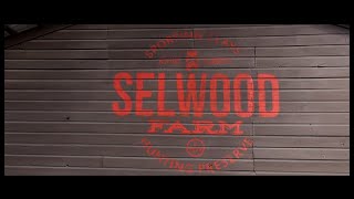 Selwood Farm - Business Spotlight