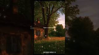 Tera Hone Laga Hoon 🌿💞- Atif Aslam | Aesthetic Love Status | Hindi Song 💫#viralshort_#status #shorts