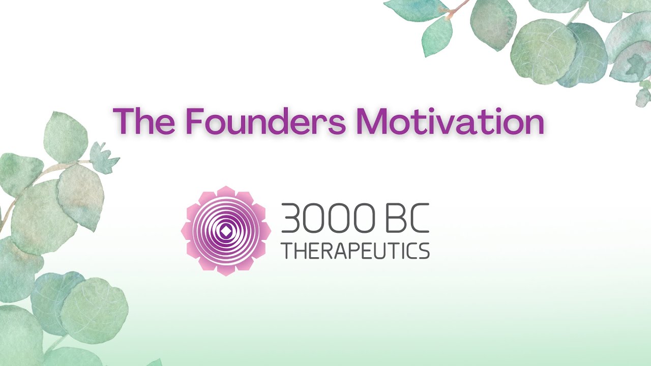 The Founder's Motivation