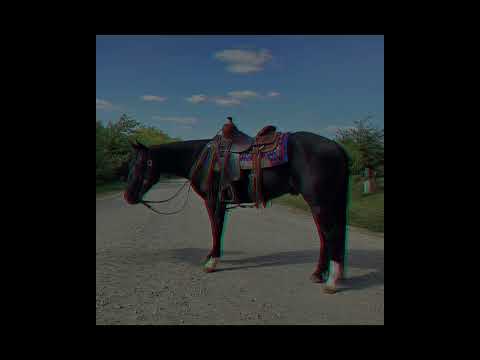 youtube preview