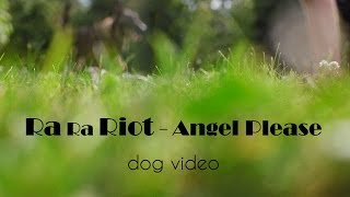 Ra Ra Riot - Angel Please  [Music Video]
