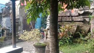 Download lagu Yoga Vhein - Jangan Tinggalkan Aku | Video Music mp3 Download lagu Yoga Vhein - Jangan Tinggalkan Aku | Video Music mp3