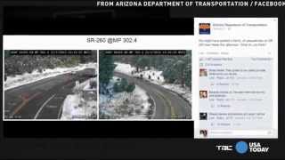 The Arizona DOT Captures Bigfoot Family On Highway Cam? No - Usa Today