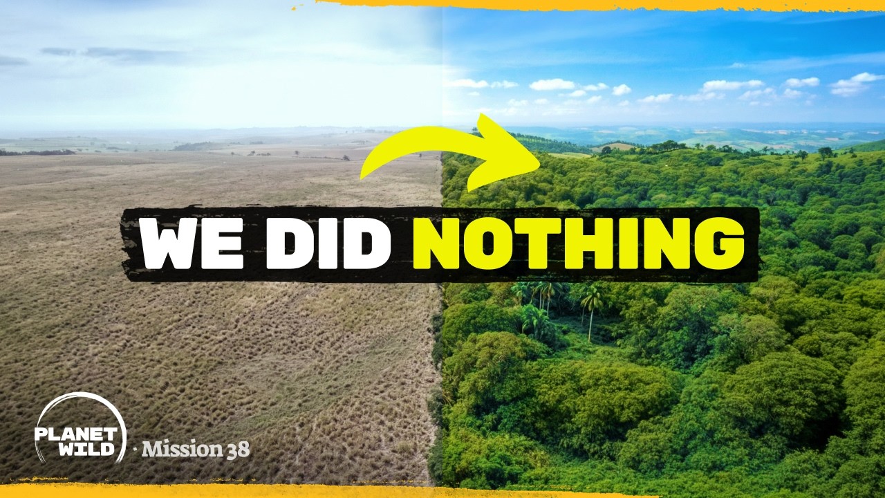 Our Strange Plan To Create a Rainforest