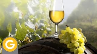 ABC Vinos - Capitulo 4: Los Vinos blancos