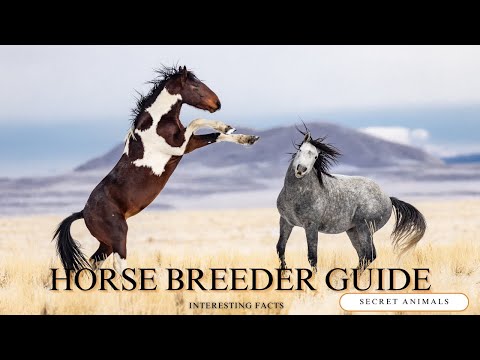 The Horse Breeder Guide to Raising CHAMPIONS