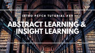Abstract Learning & Insight Learning (Intro Psych Tutorial #69)