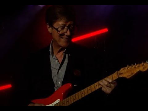 HANK MARVIN - Shadows LIVE "Theme For Young Lovers"