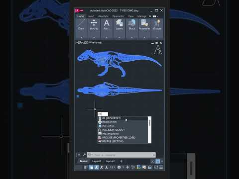 Intermediate To Advanced AutoCAD architecture floorplan architect