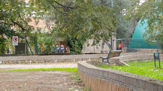 Casa del Jazz, ecco la ruspa in azione per gli scavi nel tunnel di Nicoletti