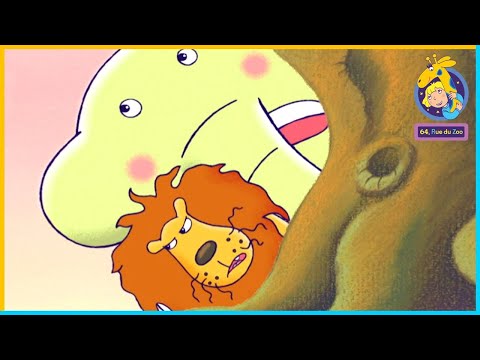 L’histoire du grand défi d’Hubert | 64 Rue du Zoo | Compilation de Noël 🎄