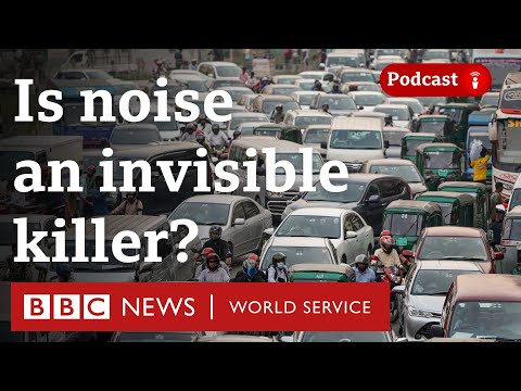 Noise: The not-so-silent killer? - The Global Story podcast,  BBC World Service