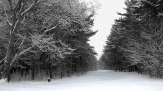 angels in the snow.wmv