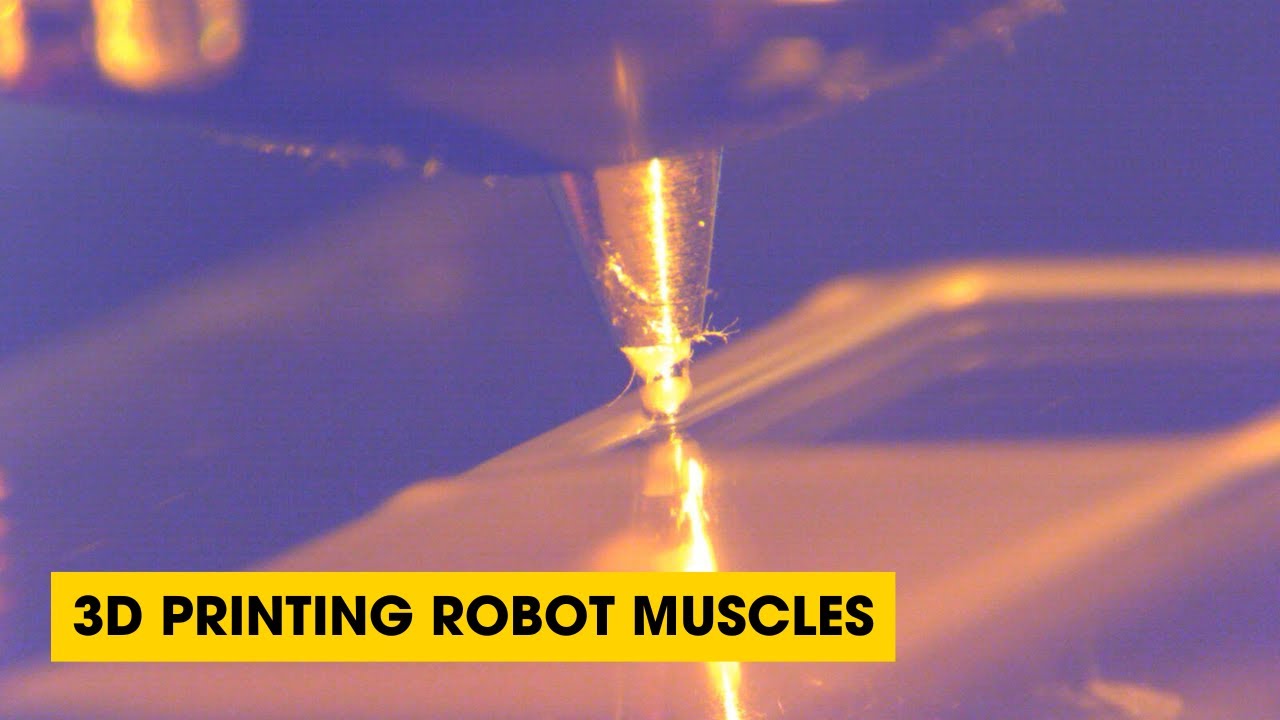 Podcast: 3D Printing Robot Muscles