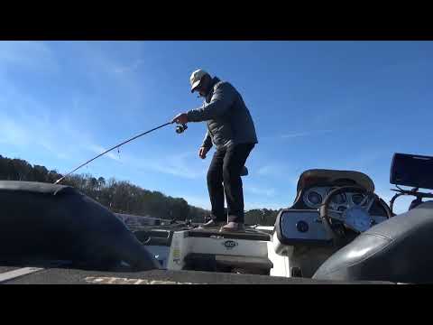 Spot Choker Swimbait Ditch Donkey