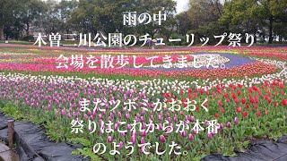 木曽三川公園チューリップ祭り2025