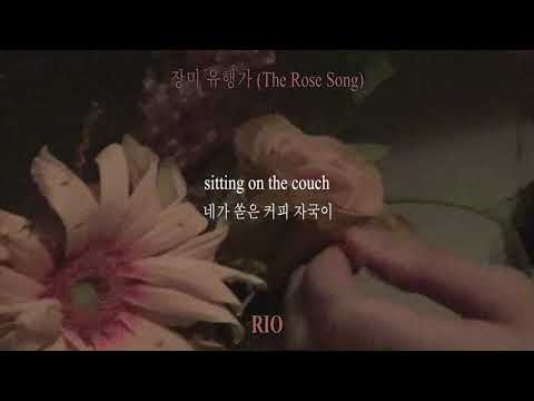리오 (Rio) - 장미 유행가 The Rose Song (Lyric Video)