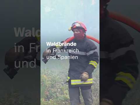 Video Thumbnail: Waldbrände: Neue Gefahr durch Plünderer | #Waldbrände #Spanien #Frankreich #Plünderungen