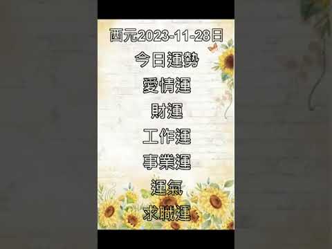 11月28日出生的藝人