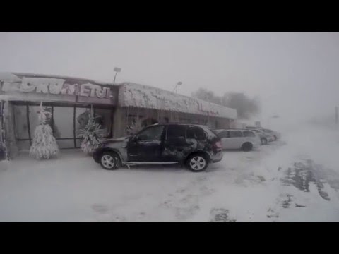 Cod portocaliu  Drajna .