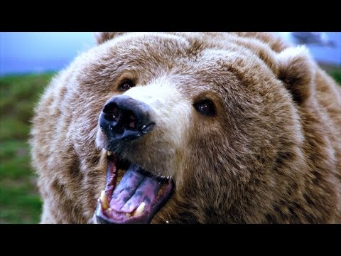 Vertex vs Mythic Ursoc