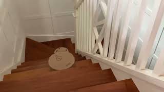 Download lagu 2 minutes and 38 seconds of roombas falling down stairs mp3