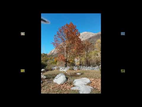 E Deha Baghat ty deh jannatai firdous || Old Song || Khowar studio.