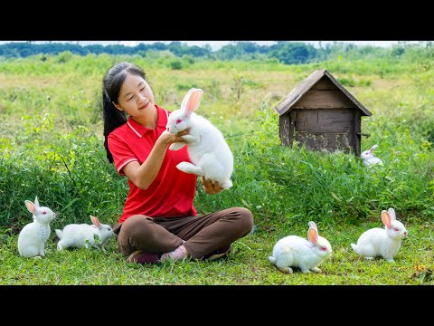 Harvesting Rabbit - Harvesting and Crafting | Ella Daily Life