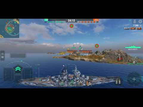 T8 French BB - Gascogne - Cage