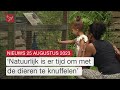 Kinderboerderij zoekt vrijwilligers en kransen Indië-herdenking vernield  | Dit is Flevoland