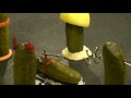 Pickled-The Real McKenzies