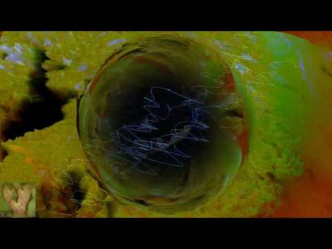 Tandem Project X – Connection [Psy-Visualization]