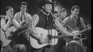 Rick Nelson Sings Country
