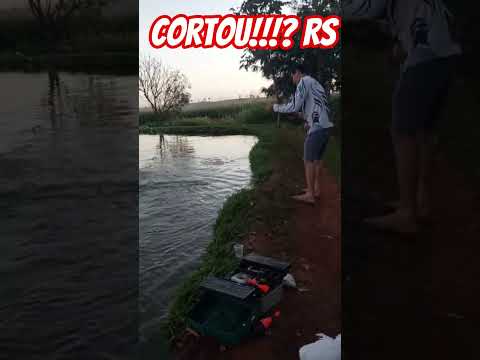 Perdeu!!! Pesqueiro Santa Helena de Goiás GO #fish #fishing #fishingvideo #pesca #fishinglife