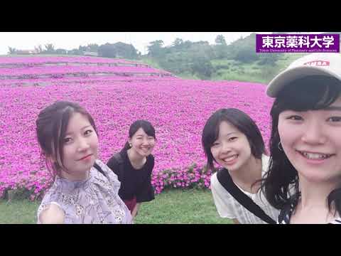 生命医科学科 東薬CampusClip（在学生インタビュー 薬学部5年）