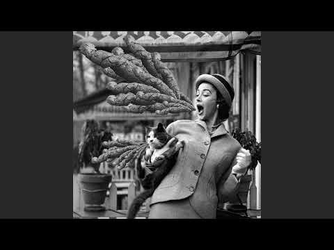 The Kleptones - Shirts & Gurgles (Full Album)