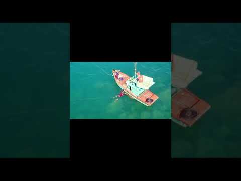 Hum tumko nighaon mein songs || garv songs #shorts #humtumkonigahonmein #shreyaghoshal