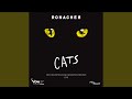 Macavity (Live)