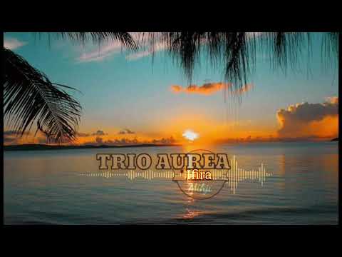 TRIO AUREA 🇻🇺🎶 IFIRA