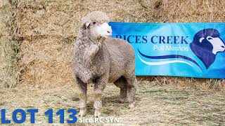 Download lagu LOT 113 mp3 Download lagu LOT 113 mp3