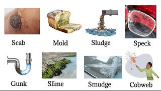 🔥 Everyday English Words You Probably Don't Know | Easy Vocabulary for Beginners