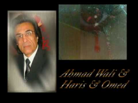 Ahmad Wali 2 (Frankfurt 03 10 Haris Nuri & Omed Noori) Teil 2 Osorem nate By Khosrau Nawabi