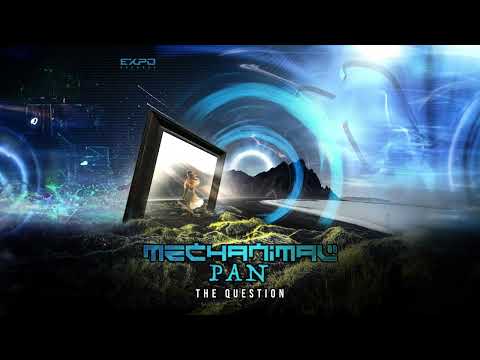 Mechanimal & Pan - The Question [Expo Records]