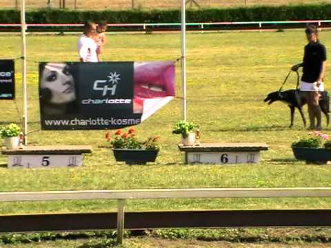 Federation Sprint & Trophy - finals 8. 7. 2012 race 15