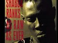 Shabba Ranks | Woman Tangle