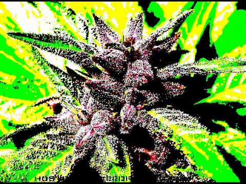 astral tribe areamito   18 09 2004 disco castelsardo 3