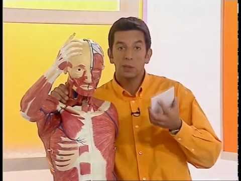 First broadcast of the Health Journal with Michel Cymes // Health Magazine