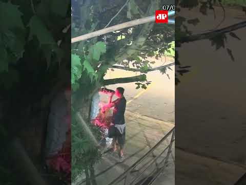 Homem furta imagens de Nossa Senhora Aparecida de altar em MG #shorts